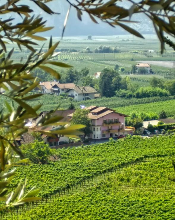 Hotel Kuhn Terlano Esterno foto